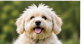 Perro pequeño feliz en la guardería