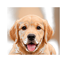 Cachorro golden retriever en clase de socialización