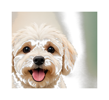 Perro pequeño feliz en la guardería